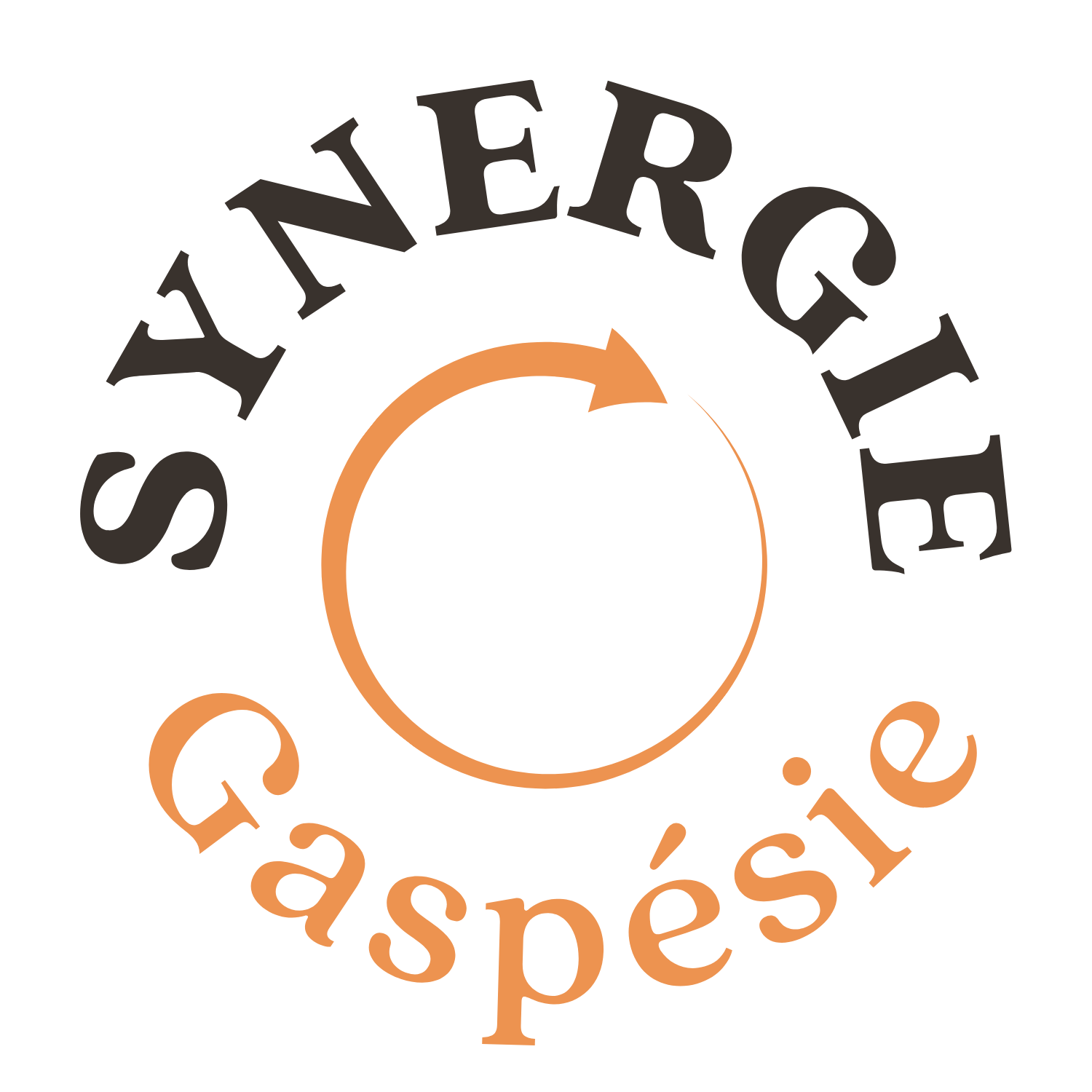 Logo Synergie Gaspésie