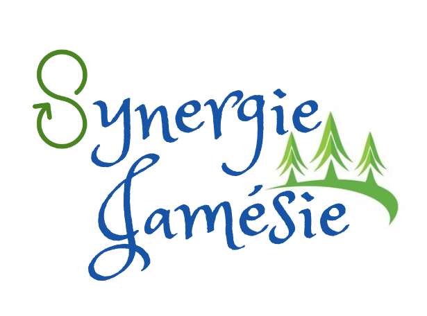 Logo Synergie Jamésie